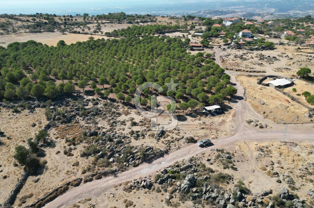 AYVALIK BEŞİKTEPE KÖYÜNDE 3.231 m² HAM TOPRAK YATIRIMLIK ARAZİ