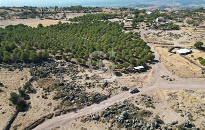 AYVALIK BEŞİKTEPE KÖYÜNDE 3.231 m² HAM TOPRAK YATIRIMLIK ARAZİ