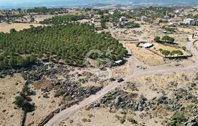 AYVALIK BEŞİKTEPE KÖYÜNDE 3.231 m² HAM TOPRAK YATIRIMLIK ARAZİ