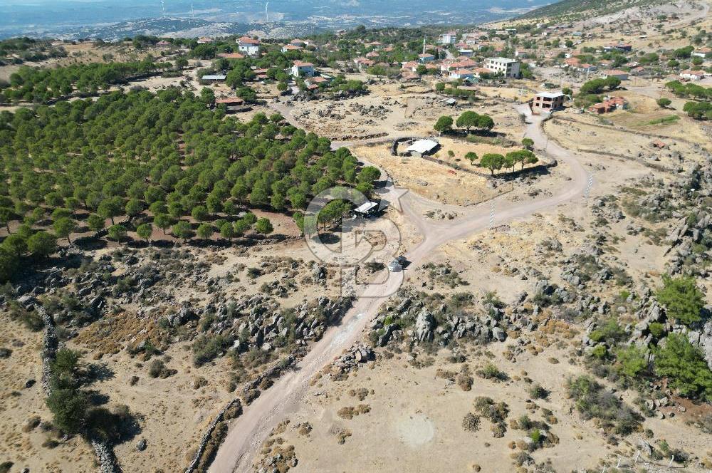 AYVALIK BEŞİKTEPE KÖYÜNDE 3.231 m² HAM TOPRAK YATIRIMLIK ARAZİ