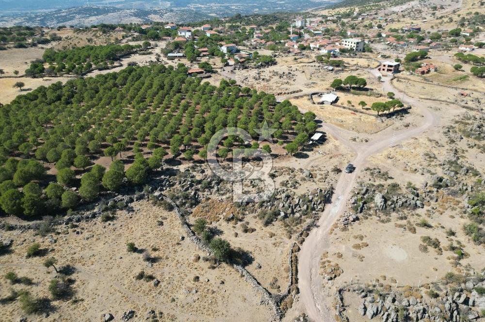 AYVALIK BEŞİKTEPE KÖYÜNDE 3.231 m² HAM TOPRAK YATIRIMLIK ARAZİ