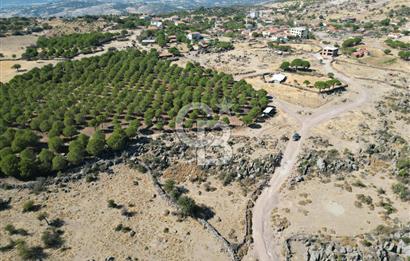 AYVALIK BEŞİKTEPE KÖYÜNDE 3.231 m² HAM TOPRAK YATIRIMLIK ARAZİ