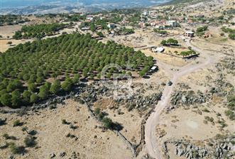 AYVALIK BEŞİKTEPE KÖYÜNDE 3.231 m² HAM TOPRAK YATIRIMLIK ARAZİ - 1 - 311029