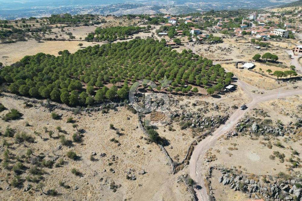 AYVALIK BEŞİKTEPE KÖYÜNDE 3.231 m² HAM TOPRAK YATIRIMLIK ARAZİ