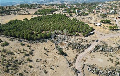 AYVALIK BEŞİKTEPE KÖYÜNDE 3.231 m² HAM TOPRAK YATIRIMLIK ARAZİ