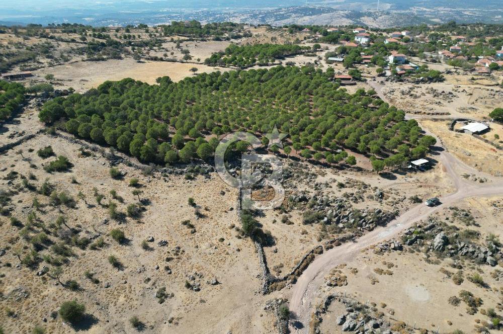 AYVALIK BEŞİKTEPE KÖYÜNDE 3.231 m² HAM TOPRAK YATIRIMLIK ARAZİ