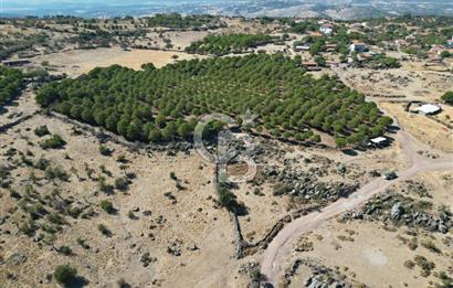 AYVALIK BEŞİKTEPE KÖYÜNDE 3.231 m² HAM TOPRAK YATIRIMLIK ARAZİ