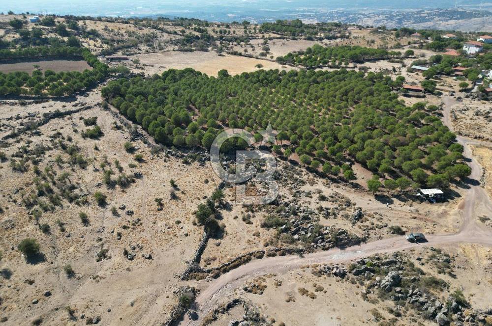 AYVALIK BEŞİKTEPE KÖYÜNDE 3.231 m² HAM TOPRAK YATIRIMLIK ARAZİ