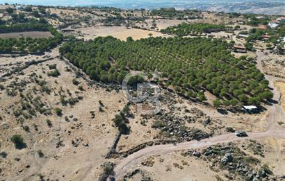 AYVALIK BEŞİKTEPE KÖYÜNDE 3.231 m² HAM TOPRAK YATIRIMLIK ARAZİ