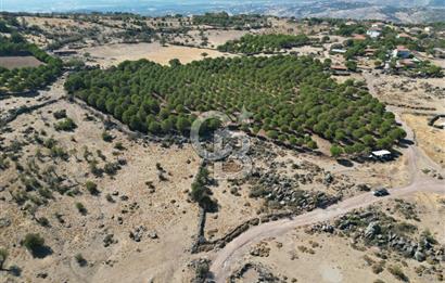 AYVALIK BEŞİKTEPE KÖYÜNDE 3.231 m² HAM TOPRAK YATIRIMLIK ARAZİ