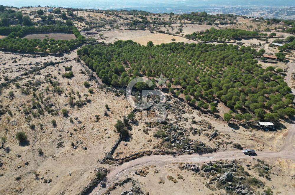 AYVALIK BEŞİKTEPE KÖYÜNDE 3.231 m² HAM TOPRAK YATIRIMLIK ARAZİ