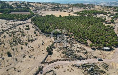 AYVALIK BEŞİKTEPE KÖYÜNDE 3.231 m² HAM TOPRAK YATIRIMLIK ARAZİ