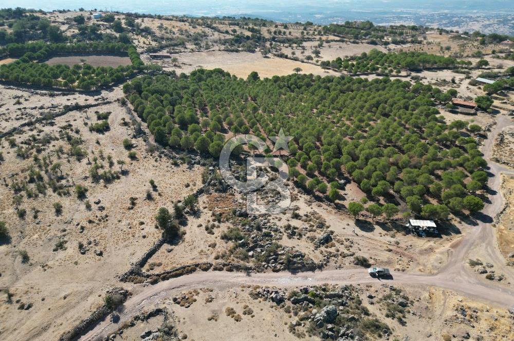 AYVALIK BEŞİKTEPE KÖYÜNDE 3.231 m² HAM TOPRAK YATIRIMLIK ARAZİ