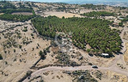 AYVALIK BEŞİKTEPE KÖYÜNDE 3.231 m² HAM TOPRAK YATIRIMLIK ARAZİ