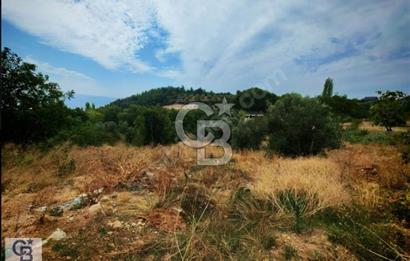CB CLASS BURSA OSMANGAZİ GÜNDOĞDU SATILIK YOLA CEPHE ARAZİ