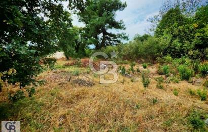 CB CLASS BURSA OSMANGAZİ GÜNDOĞDU SATILIK YOLA CEPHE ARAZİ