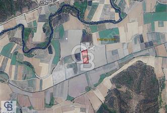 CB CLASS KARACABEY CANBAZ SATILIK TARLA - 5 - 311126