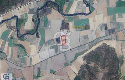 CB CLASS KARACABEY CANBAZ SATILIK TARLA