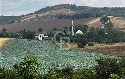 CB BLACK'TAN YENİŞEHİR KARABAHADIR KÖYÜ SATILIK FIRSAT TARLA