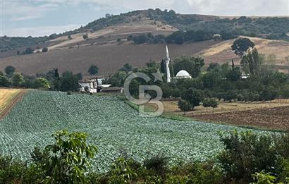 CB BLACK'TAN YENİŞEHİR KARABAHADIR KÖYÜ SATILIK FIRSAT TARLA