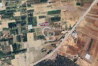 KORKUTELİ YAZIR DA SATILIK MEYVE BAHÇESİ - 8 - 311059