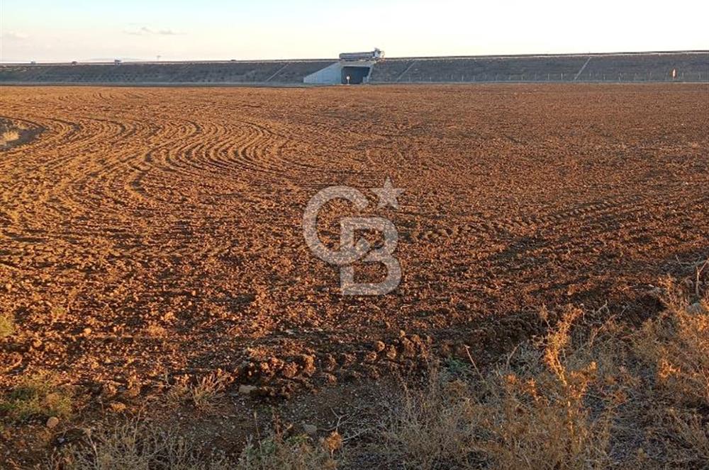 ŞEREFLİKOÇHİSAR BÜYÜKKIŞLA'DA SATILIK (MÜSTAKİL PARSEL) TARLA