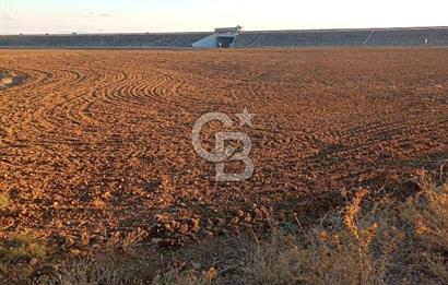 ŞEREFLİKOÇHİSAR BÜYÜKKIŞLA'DA SATILIK (MÜSTAKİL PARSEL) TARLA