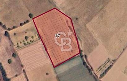 CB BLACK'TAN YENİŞEHİR KARABAHADIR KÖYÜ SATILIK FIRSAT TARLA