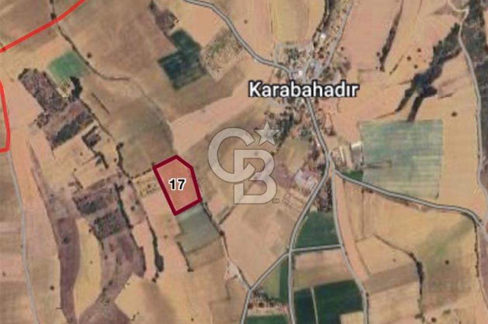 CB BLACK'TAN YENİŞEHİR KARABAHADIR KÖYÜ SATILIK FIRSAT TARLA