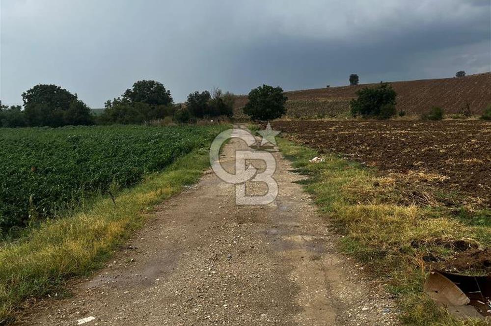 CB BLACK'TAN YENİŞEHİR KARABAHADIR KÖYÜ SATILIK FIRSAT TARLA