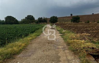 CB BLACK'TAN YENİŞEHİR KARABAHADIR KÖYÜ SATILIK FIRSAT TARLA