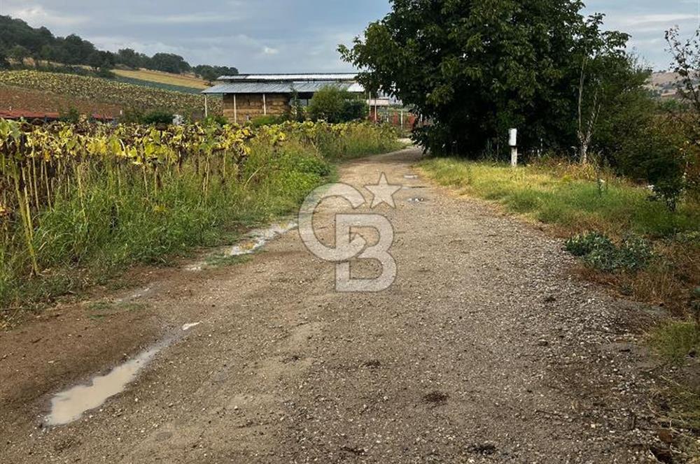 CB BLACK'TAN YENİŞEHİR KARABAHADIR KÖYÜ SATILIK FIRSAT TARLA