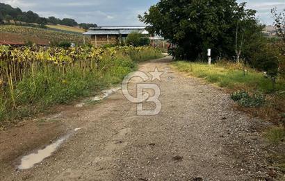 CB BLACK'TAN YENİŞEHİR KARABAHADIR KÖYÜ SATILIK FIRSAT TARLA