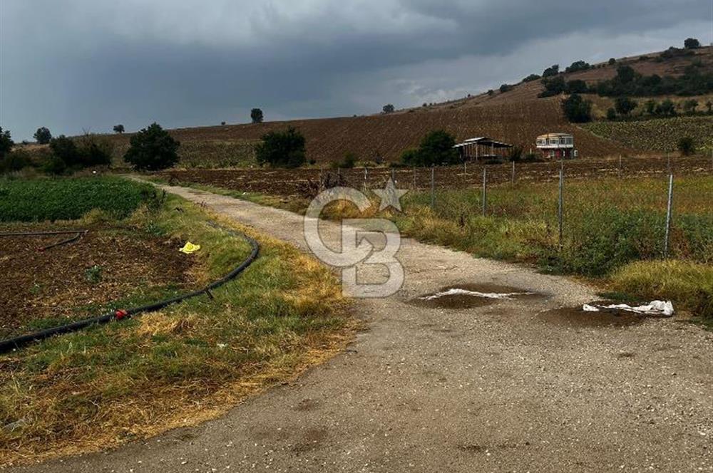CB BLACK'TAN YENİŞEHİR KARABAHADIR KÖYÜ SATILIK FIRSAT TARLA