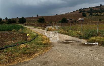 CB BLACK'TAN YENİŞEHİR KARABAHADIR KÖYÜ SATILIK FIRSAT TARLA