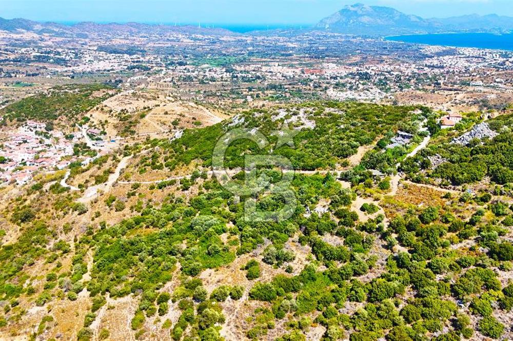 Datça Hızırşah'ta Satılık 8.974 m² Yatırımlık Tarla