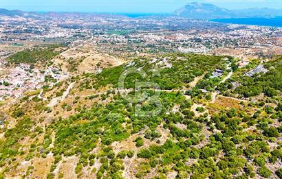 Datça Hızırşah'ta Satılık 8.974 m² Yatırımlık Tarla