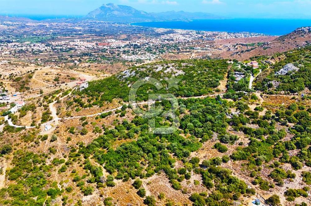 Datça Hızırşah'ta Satılık 8.974 m² Yatırımlık Tarla