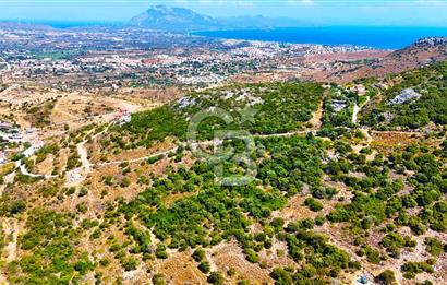 Datça Hızırşah'ta Satılık 8.974 m² Yatırımlık Tarla