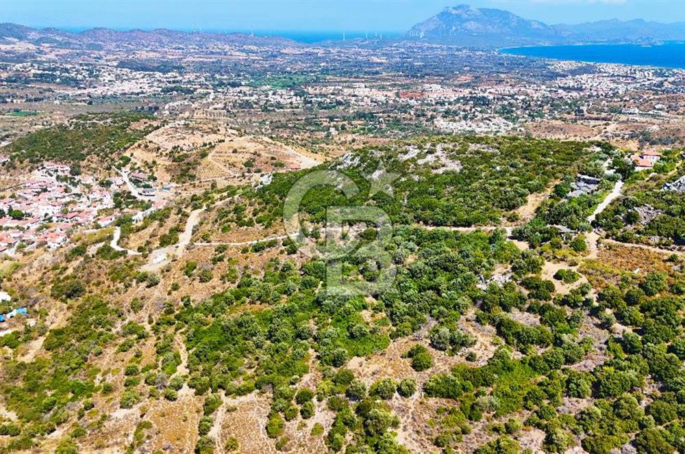 Datça Hızırşah'ta Satılık 8.974 m² Yatırımlık Tarla