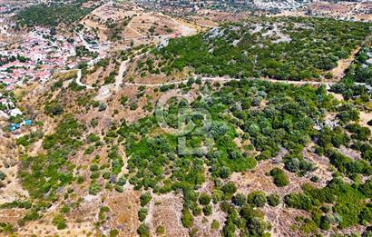 Datça Hızırşah'ta Satılık 8.974 m² Yatırımlık Tarla