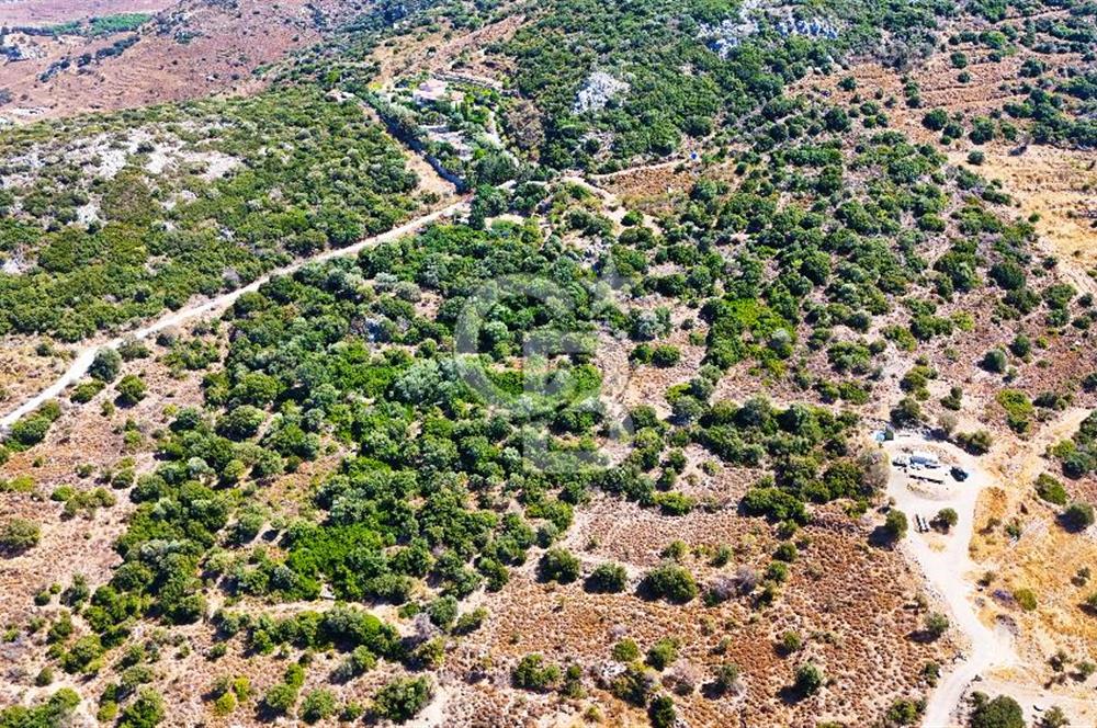 Datça Hızırşah'ta Satılık 8.974 m² Yatırımlık Tarla