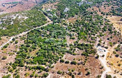 Datça Hızırşah'ta Satılık 8.974 m² Yatırımlık Tarla