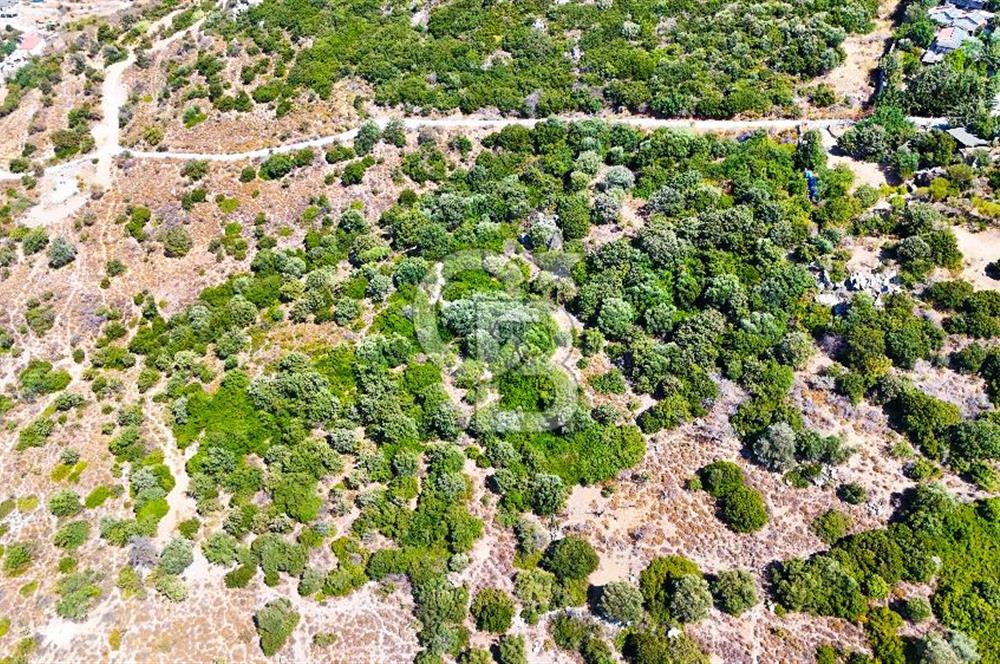 Datça Hızırşah'ta Satılık 8.974 m² Yatırımlık Tarla