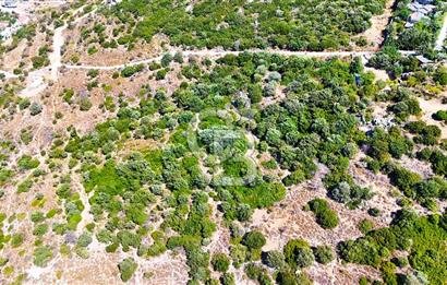 Datça Hızırşah'ta Satılık 8.974 m² Yatırımlık Tarla