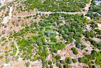 Datça Hızırşah'ta Satılık 8.974 m² Yatırımlık Tarla - 7 - 311044