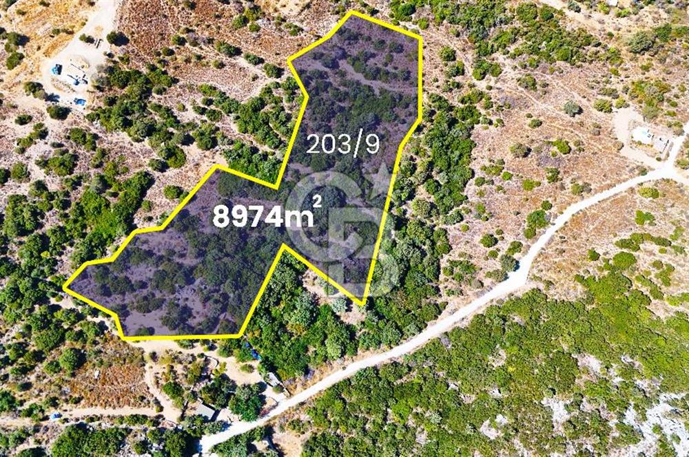 Datça Hızırşah'ta Satılık 8.974 m² Yatırımlık Tarla
