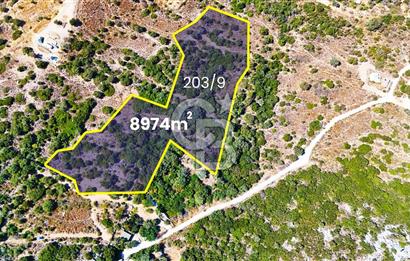 Datça Hızırşah'ta Satılık 8.974 m² Yatırımlık Tarla