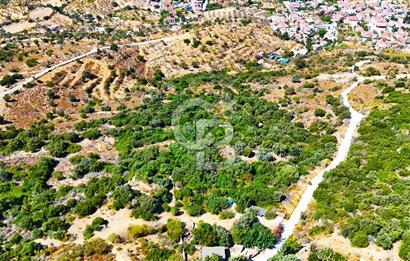 Datça Hızırşah'ta Satılık 8.974 m² Yatırımlık Tarla