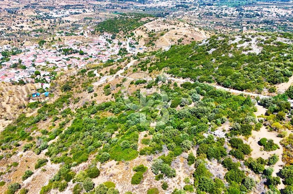 Datça Hızırşah'ta Satılık 8.974 m² Yatırımlık Tarla